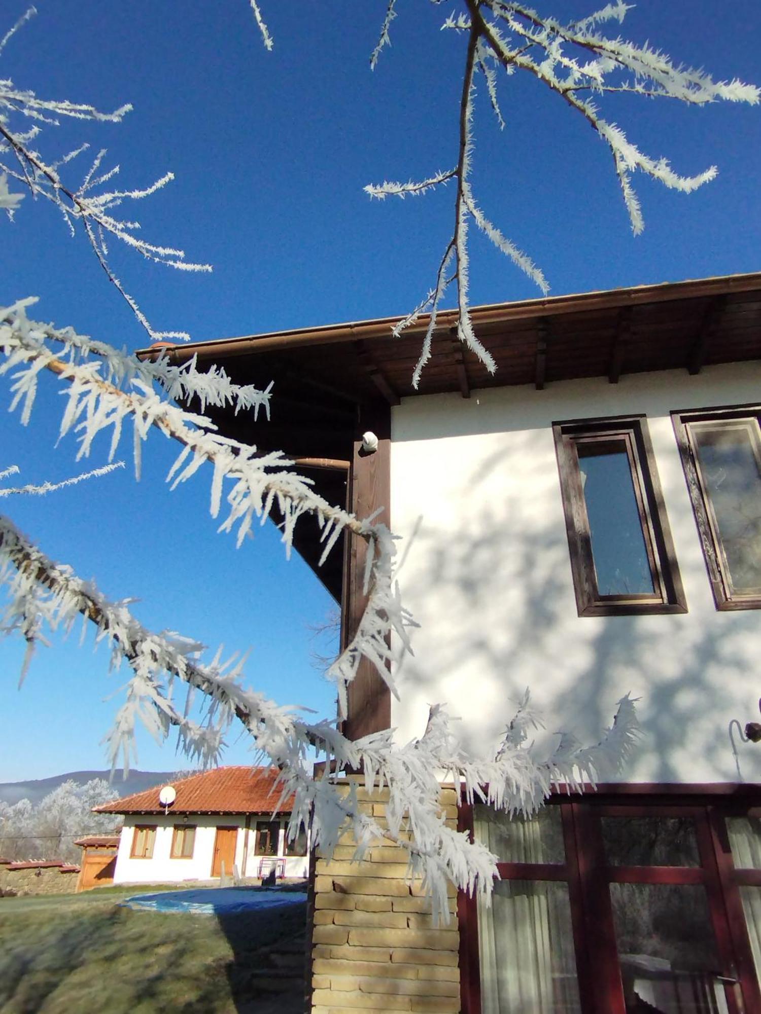 Бор И Шишарка Varzilkovtsi Exterior foto